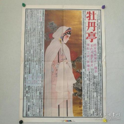 买个假的坦桑尼亚